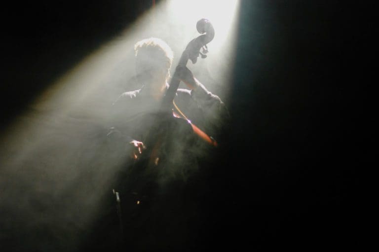 taureau-sans-hf-reduite