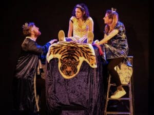 La princesse au petit pois