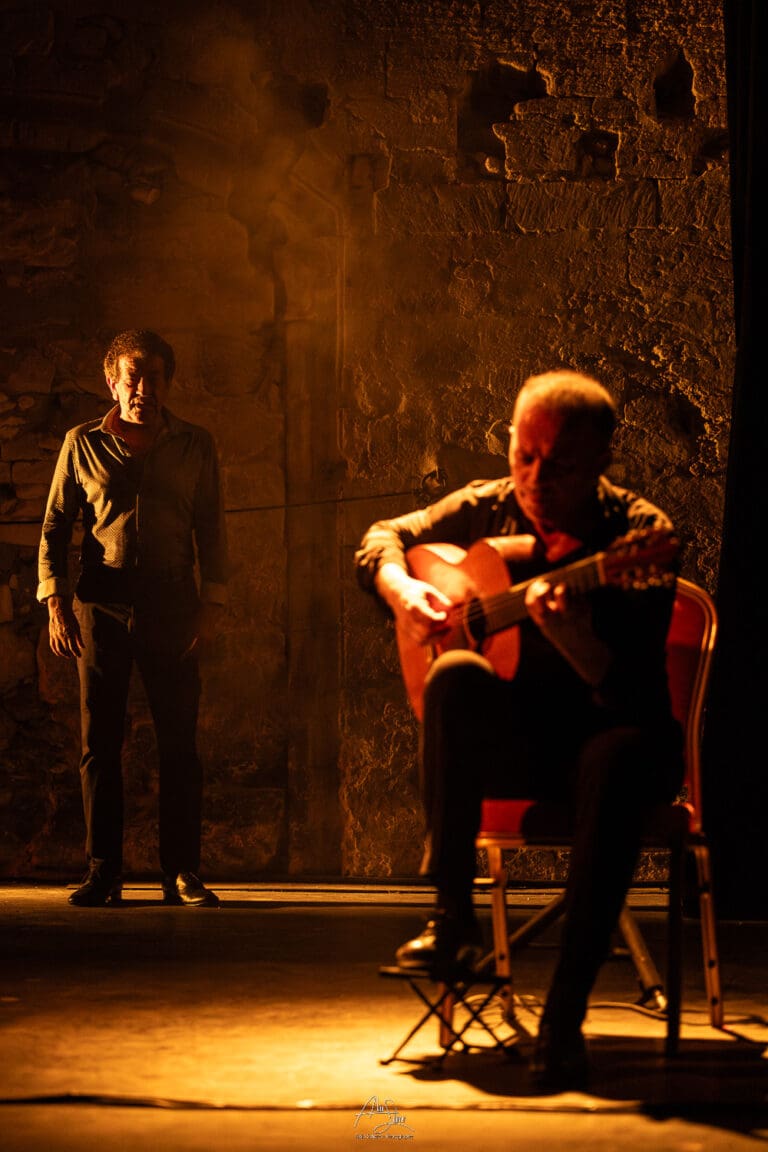 AlainScherer-Flamenco Vivo 1