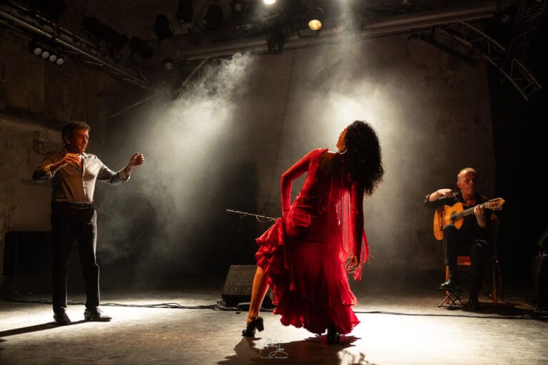 AlainScherer-Flamenco Vivo 1