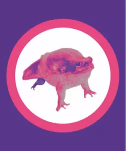 La lente et difficile agonie du crapaud buffle sur le socle patriarcal