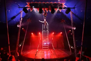Rock&rsquo;N&rsquo;Roll Circus 2